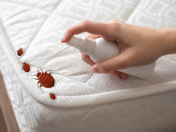 Pest Control for Hotels in Troutdale, OR